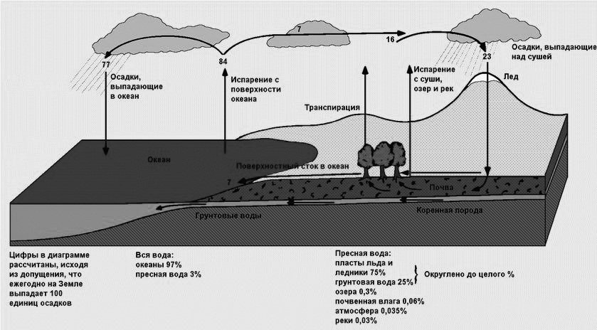 Циклы в биосфере